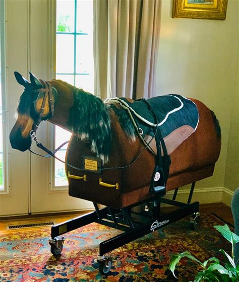 equicrown|equicizer for sale craigslist.